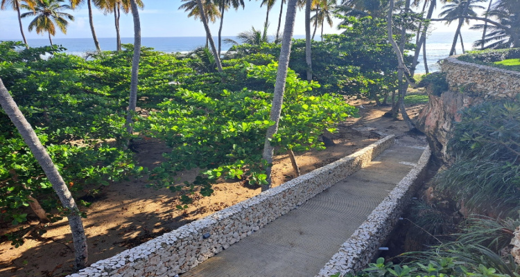 Orchid Bay,Sale - Houses / Villas,1128