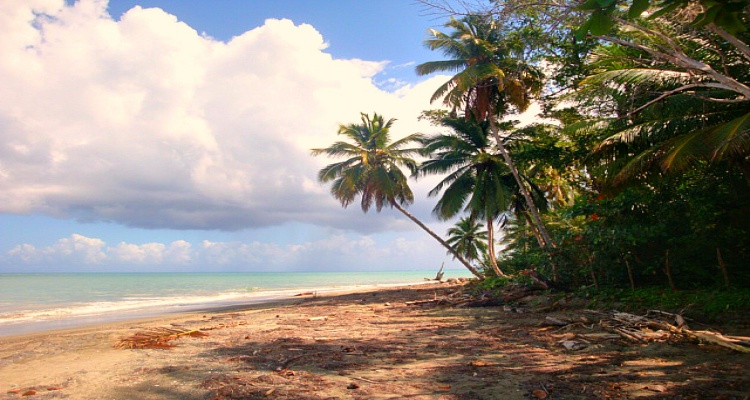 Playa Magante,Sale - Land,1171