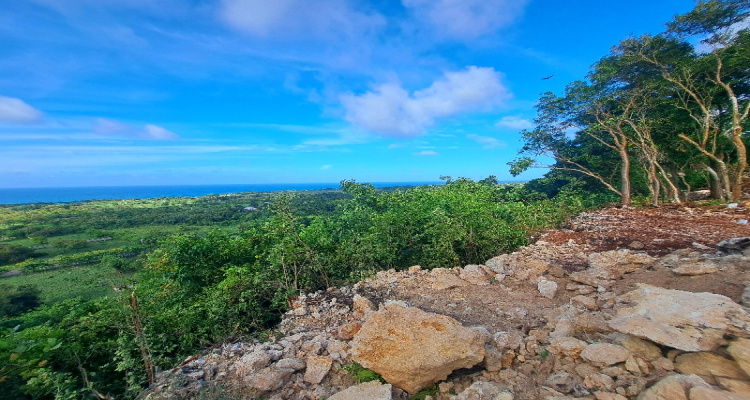 Abreu,Sale - Lots,1511