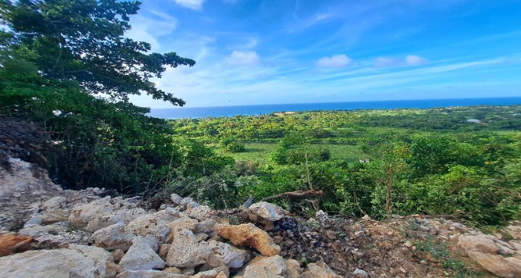 Abreu,Sale - Lots,1511