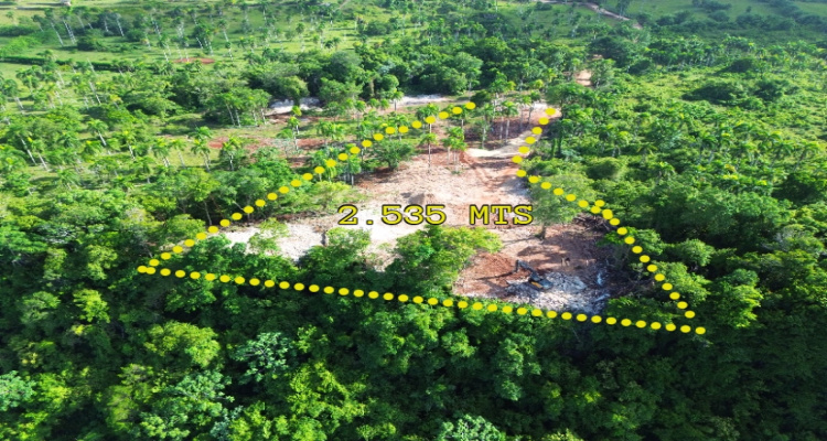Abreu,Sale - Lots,1511