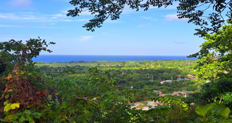 Abreu,Sale - Lots,1511