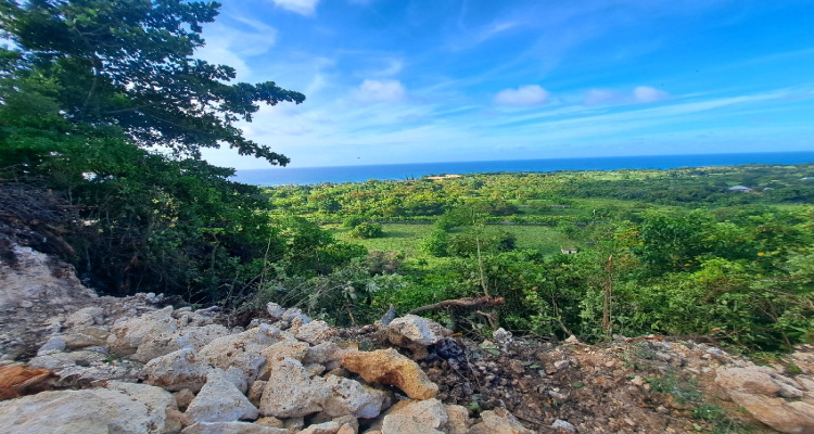 Abreu,Sale - Lots,1511