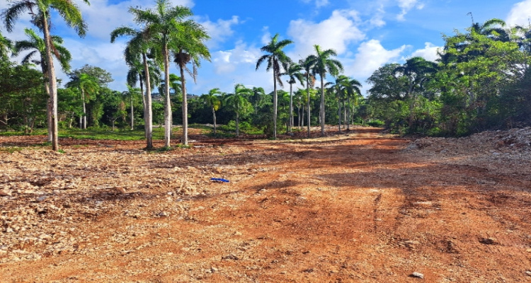 Abreu,Sale - Lots,1511