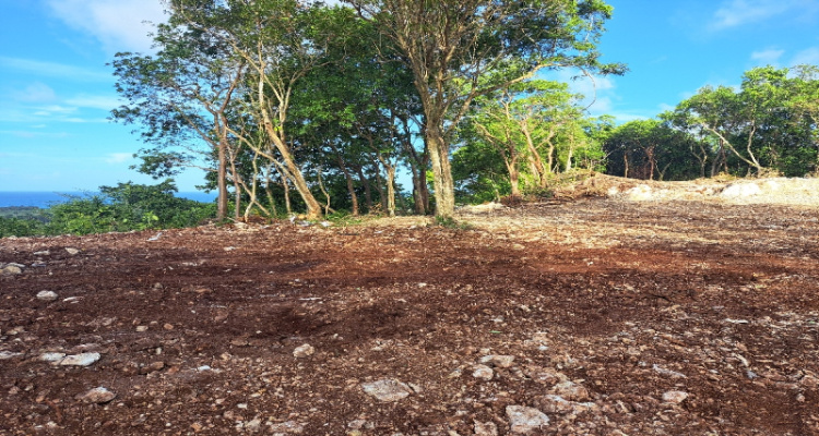 Abreu,Sale - Lots,1511