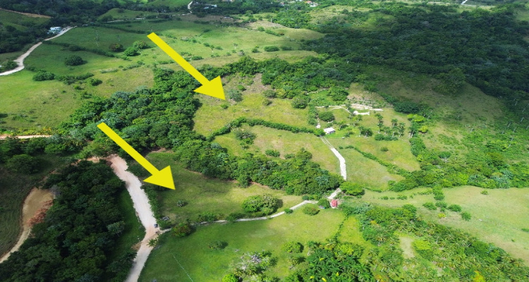 Cabrera,Sale - Land,1515