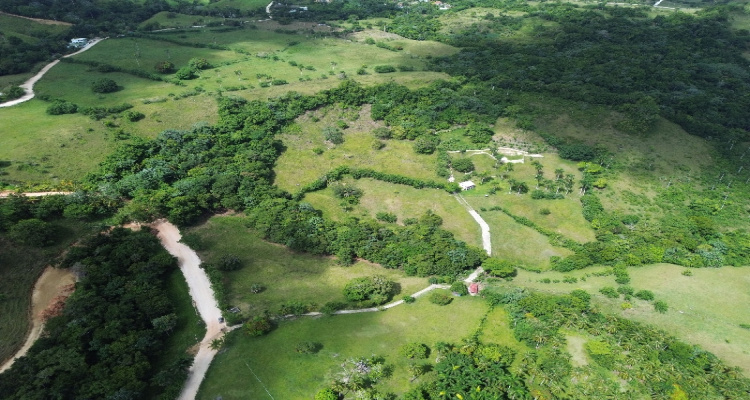 Cabrera,Sale - Land,1515