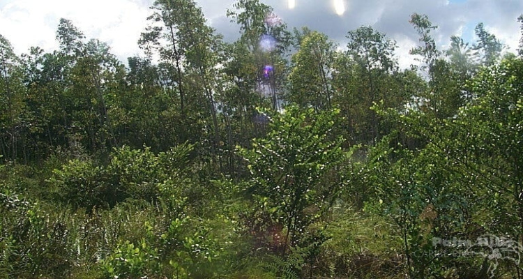 Rio San Juan,Sale - Farms,1516