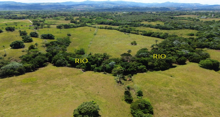 Rio San Juan,Sale - Farms,1517