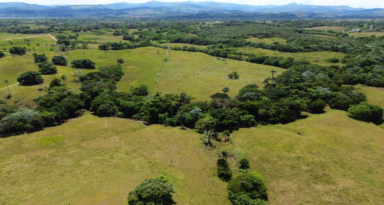 Rio San Juan,Sale - Farms,1517
