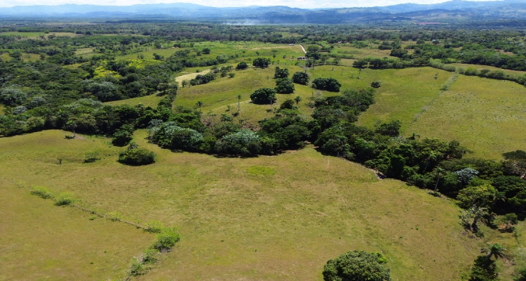 Rio San Juan,Sale - Farms,1517