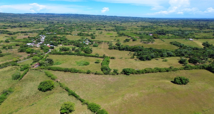 Rio San Juan,Sale - Farms,1517