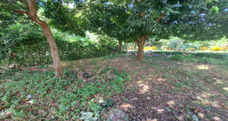 Cabrera,Sale - Houses / Villas,1524