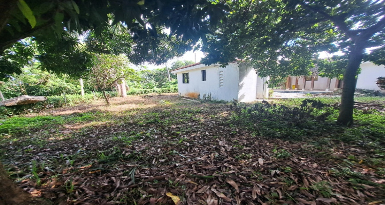 Cabrera,Sale - Houses / Villas,1524