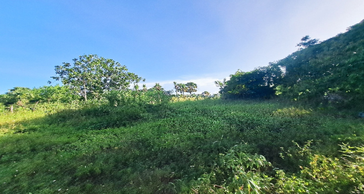 Cabrera,Sale - Lots,1525