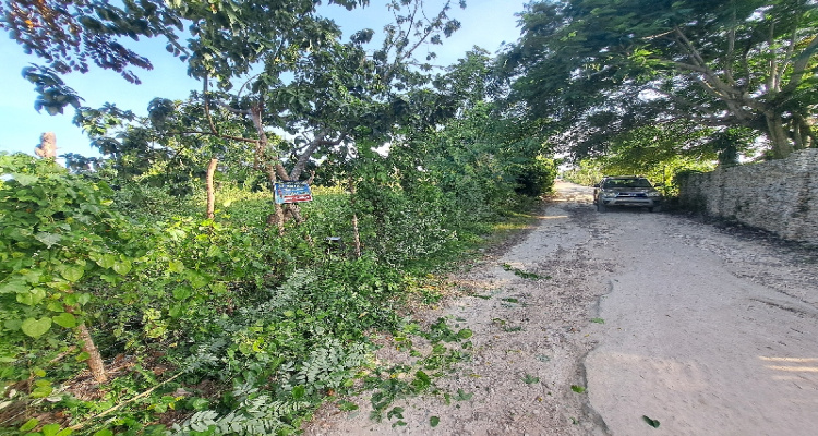 Cabrera,Sale - Lots,1525