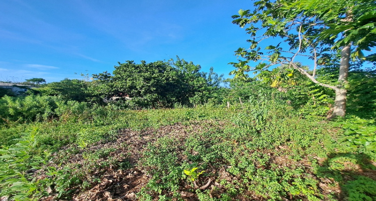 Cabrera,Sale - Lots,1525