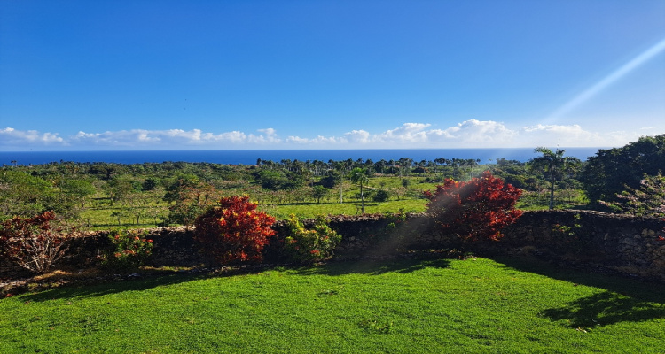 Cabrera,Sale - Houses / Villas,1526