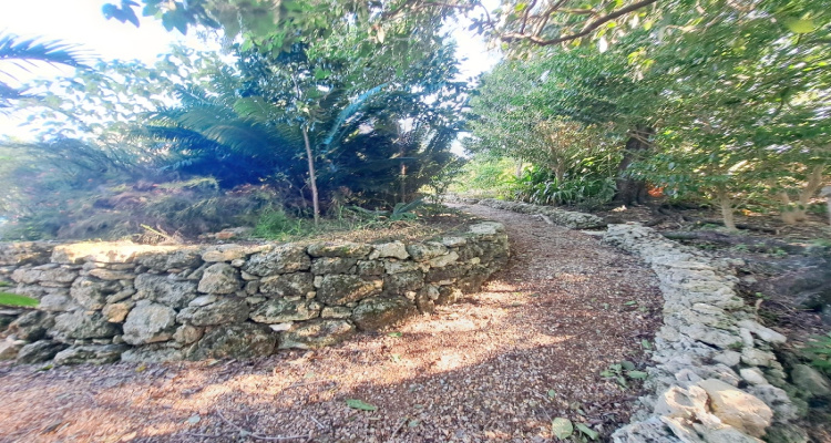 Cabrera,Sale - Houses / Villas,1527