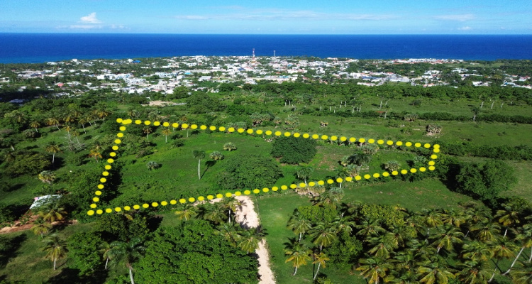 Cabrera,Sale - Land,1528