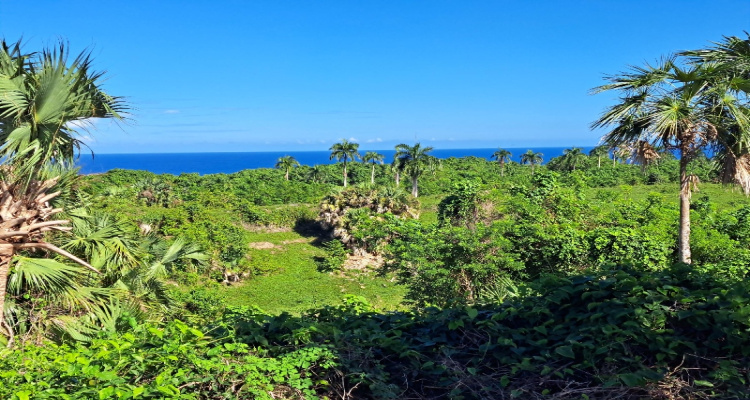 Cabrera,Sale - Land,1528