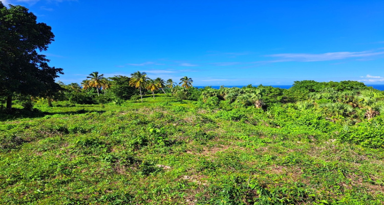 Cabrera,Sale - Land,1528