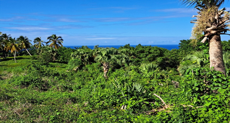 Cabrera,Sale - Land,1528