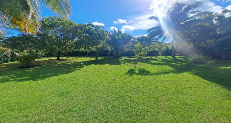 Cabrera,Sale - Lots,1533