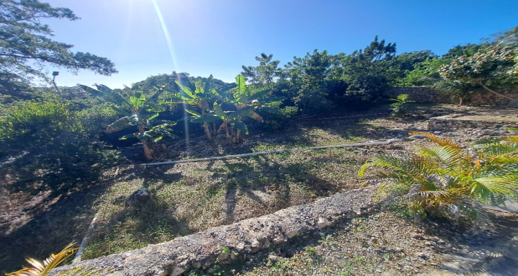 Cabrera,Sale - Houses / Villas,1536